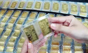 'Mẹ tôi mua 104 cây vàng rồi mặc kệ thiên hạ' 'Mẹ tôi mua 104 cây vàng rồi mặc kệ thiên hạ'