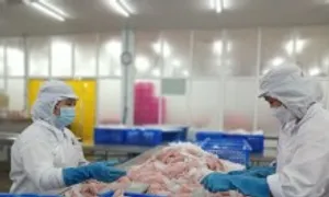 Nhiều hàng nông nghiệp xuất khẩu sang Mỹ tăng vọt Nhiều hàng nông nghiệp xuất khẩu sang Mỹ tăng vọt