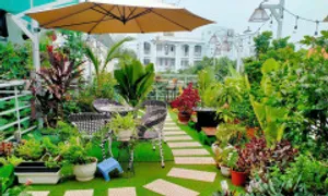 Biến sân thượng thành khu nghỉ dưỡng Biến sân thượng thành khu nghỉ dưỡng