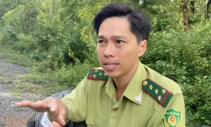 Manh mối giúp tìm thấy máy bay Yak-130 rơi ở Đăk Lăk Manh mối giúp tìm thấy máy bay Yak-130 rơi ở Đăk Lăk