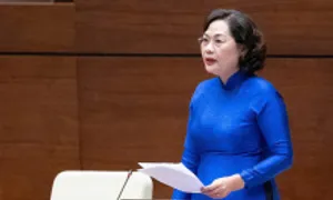Thống đốc: Ngân hàng muốn cho vay nhưng không biết 'thế nào là xanh' Thống đốc: Ngân hàng muốn cho vay nhưng không biết 'thế nào là xanh'