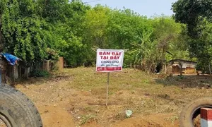 Đất tăng giá 30 cây vàng sau nửa năm Đất tăng giá 30 cây vàng sau nửa năm