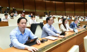 Quốc hội đồng ý dùng ngân sách hồi hương cổ vật Quốc hội đồng ý dùng ngân sách hồi hương cổ vật