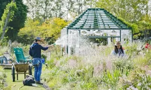Tôi U50 làm vườn 400 m2 ở Đức, giống Lý Tử Thất 60% Tôi U50 làm vườn 400 m2 ở Đức, giống Lý Tử Thất 60%