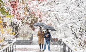 Seoul như miền cổ tích trong ngày tuyết rơi dày Seoul như miền cổ tích trong ngày tuyết rơi dày