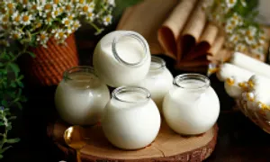 Lợi ích của sữa chua với sức khỏe Lợi ích của sữa chua với sức khỏe