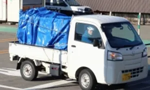 Gấu cố thủ trong siêu thị suốt hai ngày Gấu cố thủ trong siêu thị suốt hai ngày