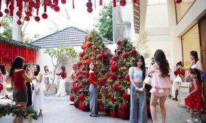 Quán cà phê biệt thự hút khách check in Giáng sinh ở TP HCM Quán cà phê biệt thự hút khách check in Giáng sinh ở TP HCM