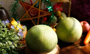 Những món nên ăn mỗi tuần để phổi khỏe Những món nên ăn mỗi tuần để phổi khỏe