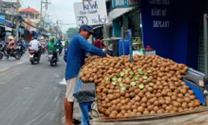 20.000 đồng một kg kiwi xanh Trung Quốc 20.000 đồng một kg kiwi xanh Trung Quốc