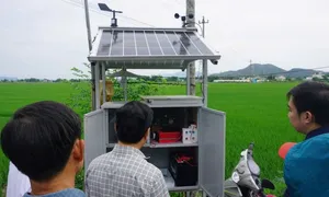 Khám bệnh cho lúa bằng trí tuệ nhân tạo ở Bình Định Khám bệnh cho lúa bằng trí tuệ nhân tạo ở Bình Định