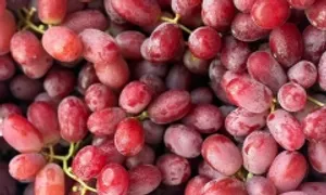 5 món ăn uống giàu chất chống oxy hóa tốt cho gan 5 món ăn uống giàu chất chống oxy hóa tốt cho gan