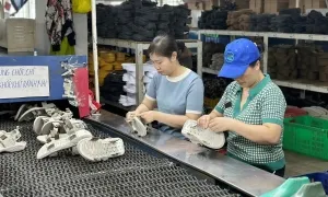 Thưởng Tết ở Hải Phòng cao nhất gần 500 triệu đồng Thưởng Tết ở Hải Phòng cao nhất gần 500 triệu đồng