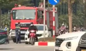 Không vượt đèn đỏ tránh xe ưu tiên có bị phạt? Không vượt đèn đỏ tránh xe ưu tiên có bị phạt?
