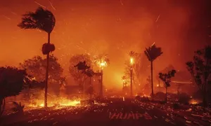 Nghi vấn biến đổi khí hậu gây cháy rừng kỷ lục ở Los Angeles Nghi vấn biến đổi khí hậu gây cháy rừng kỷ lục ở Los Angeles
