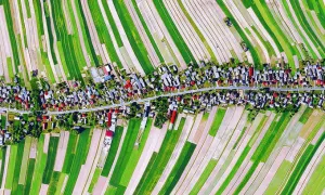 Nơi cả làng cùng sống trên một con đường