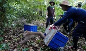 UNDP: 'Khu vực tư nhân đóng vai trò quan trọng trong phát triển bền vững' UNDP: 'Khu vực tư nhân đóng vai trò quan trọng trong phát triển bền vững'