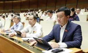 Địa phương được chấp thuận chủ trương đầu tư dự án xây sân bay, nhà ở