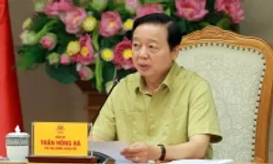 Chủ tịch tỉnh được giao, cho thuê đất trong Trung tâm tài chính quốc tế